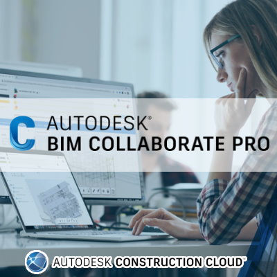 Autodesk Collaboarte Pro